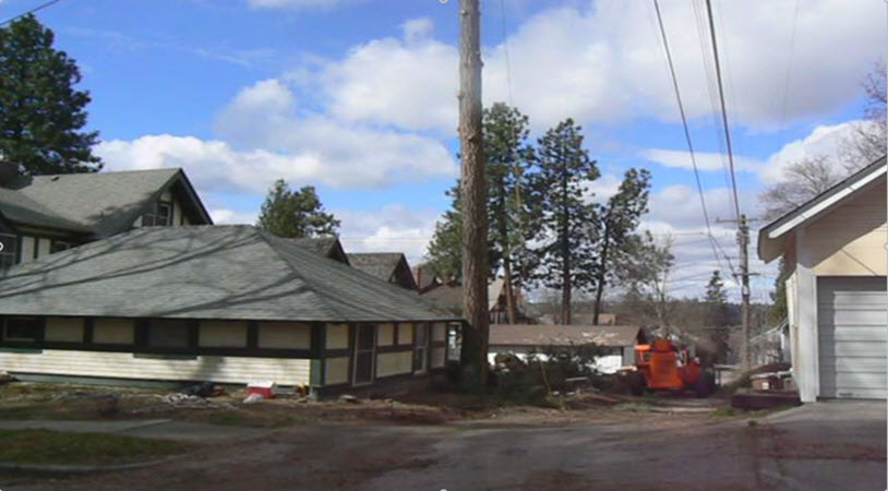 Hazard Tree Removal Spokane Tree Service